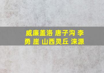 威廉盖洛 唐子沟 李勇 崖 山西灵丘 涞源